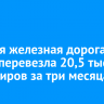 Восточно-Сибирская ДЖД перевезла 20,5 тысячи пассажиров за три месяца