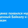 В Слюдянке появился мурал, посвященный Байкалу и его эндемикам