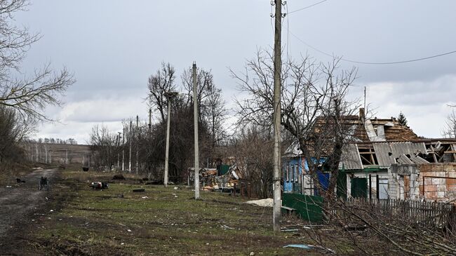 В Русском Поречном нашли флаг "Грузинского легиона"*