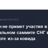 Пашинян не примет участия в неформальном саммите СНГ в Петербурге из-за ковида