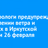 Метеорологи предупреждают об усилении ветра и метелях в Иркутской области 26 февраля