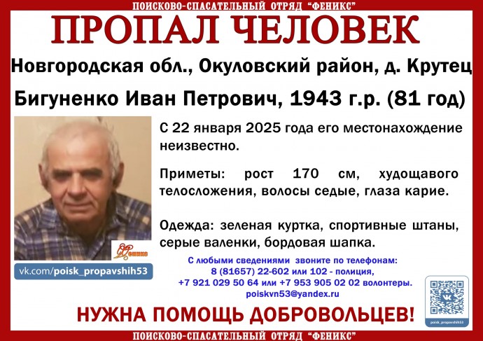 В Окуловском районе продолжаются поиски 81-летнего мужчины