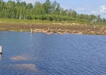 Тело рыбака нашли на Бурейском водохранилище