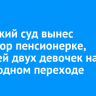 Ангарский суд вынес приговор пенсионерке, сбившей двух девочек на пешеходном переходе