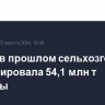 Россия в прошлом сельхозгоду экспортировала 54,1 млн т пшеницы