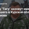 Отряд "Тигр" назовут именем погибшего в Курской области Ефремова