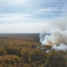 Пожароопасный сезон официально завершился в лесах Мордовии