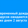 Кратковременный дождь и до +24 градусов ожидаются в Иркутске днем 2 августа