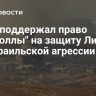 Иран поддержал право "Хезболлы" на защиту Ливана от израильской агрессии