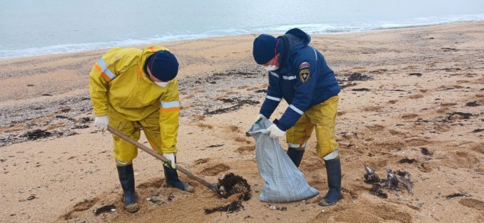 За сутки в Крыму собрали 36 тонн загрязнённого песка и грунта