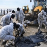 "Яндекс" направит средства на помощь волонтерам на Черном море