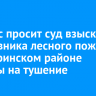 Минлес просит суд взыскать с виновника лесного пожара в Заларинском районе затраты на тушение