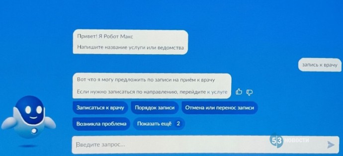 Запись к новгородским врачам через «Госуслуги» временно приостановят