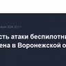 Опасность атаки беспилотников объявлена в Воронежской области