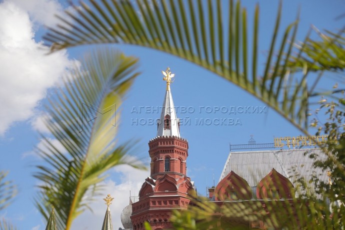 Синоптик: Воскресенье в Москве стало самым теплым днем с начала августа