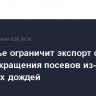 Приморье ограничит экспорт сои на фоне сокращения посевов из-за затяжных дождей