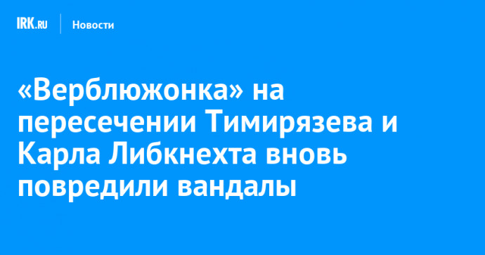 «Верблюжонка» на пересечении Тимирязева и Карла Либкнехта вновь повредили вандалы