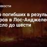 Число погибших в результате пожаров в Лос-Анджелесе выросло до шести