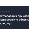 Число пострадавших при атаке дрона ВСУ на Белгородскую область выросло до двух