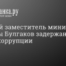 Бывший заместитель министра обороны Булгаков задержан по делу о коррупции