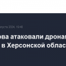 ВСУ снова атаковали дронами Алешки в Херсонской области