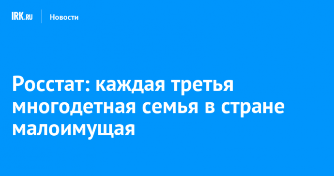 Росстат: каждая третья многодетная семья в стране малоимущая