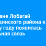 В деревне Лобагай Усть-Удинского района к Новому году появилась мобильная связь