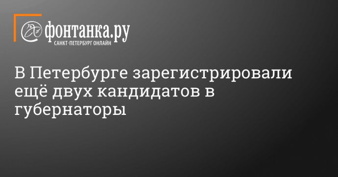 В Петербурге зарегистрировали ещё двух кандидатов в губернаторы