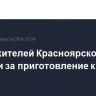 Двоих жителей Красноярского края осудили за приготовление к теракту