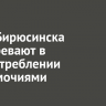 Главу Бирюсинска подозревают в злоупотреблении полномочиями