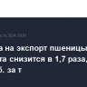 Пошлина на экспорт пшеницы из РФ с 14 августа снизится в 1,7 раза, до 257,3 руб. за т