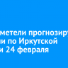 Снег и метели прогнозируют местами по Иркутской области 24 февраля