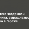 В Иркутске задержали сантехника, выращивающего коноплю в гараже