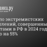 СК: число экстремистских преступлений, совершенных мигрантами в РФ в 2024 году, выросло на 55%