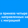 Госдума приняла четыре закона, направленных на борьбу с миграцией