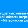 22 многодетных жительниц Иркутской области наградят знаком «Материнская слава»