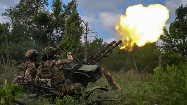 Жители Новогродовки рассказали, как ждали прихода российской армии