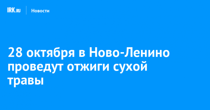 28 октября в Ново-Ленино проведут отжиги сухой травы