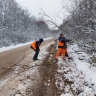 В Новгородской области улучшают обзор водителям и устраняют помехи на дорогах