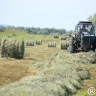 Задачи по проведению кормозаготовительной кампании поставлены главой Якутии