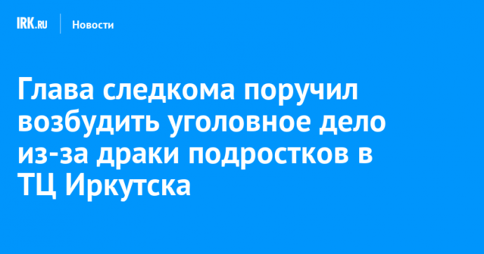 Глава следкома поручил возбудить уголовное дело из-за драки подростков в ТЦ Иркутска