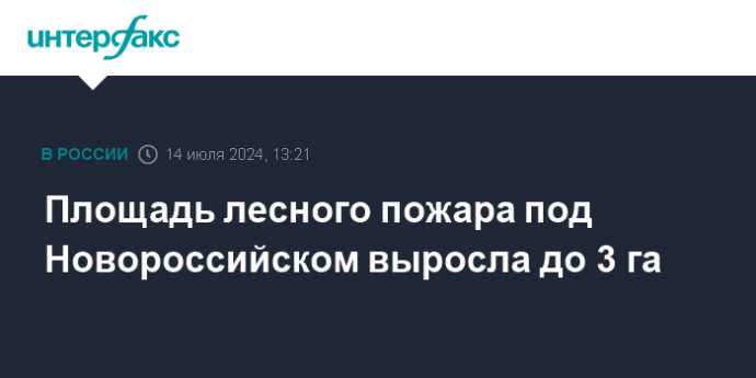 Площадь лесного пожара под Новороссийском выросла до 3 га