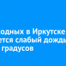 На выходных в Иркутске ожидается слабый дождь и до +29 градусов