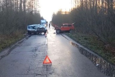 Два человека погибли в лобовом столкновении в Нижегородской области