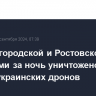 Над Белгородской и Ростовской областями за ночь уничтожено девять украинских дронов