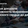 Ученые доказали возможность сохранения донорского сердца до десяти часов