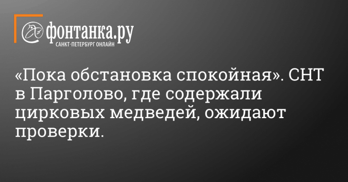 «Пока обстановка спокойная». СНТ в Парголово, где содержали цирковых медведей, ожидают проверки