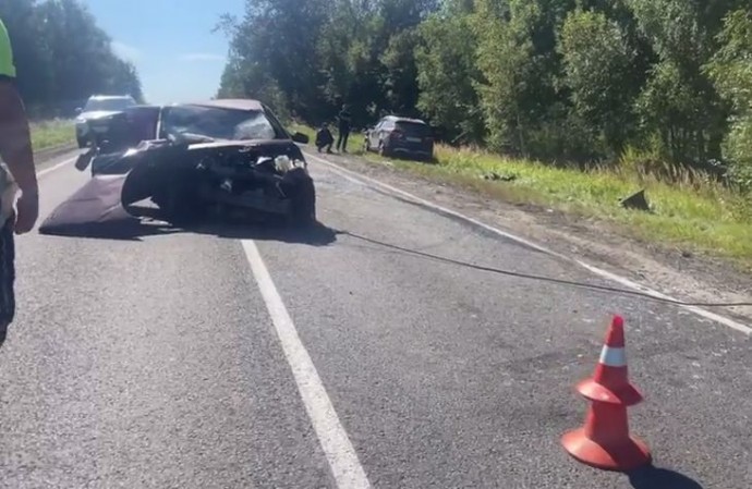 Семь человек, в том числе трое детей пострадали в ДТП на трассе в Ярославской области