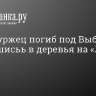 Петербуржец погиб под Выборгом, врезавшисьь в деревья на «Лэнд Ровере»