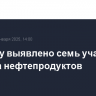 В Крыму выявлено семь участков разлива нефтепродуктов